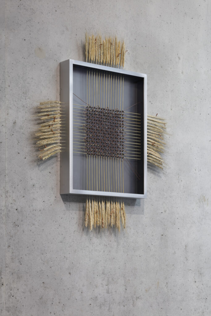 Andreas Greiner – Kino Kosmos at PLATO