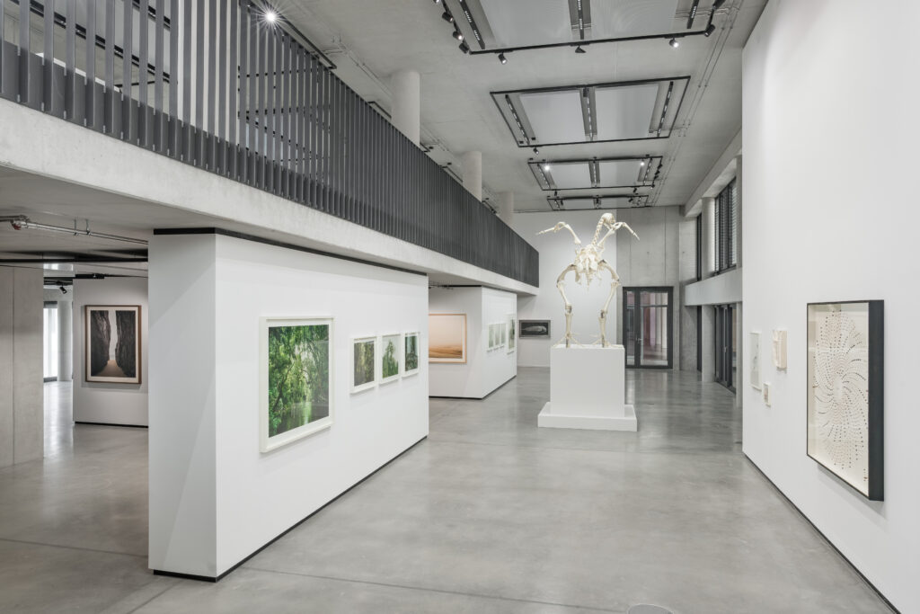 Andreas Greiner – EARTH MATTERS