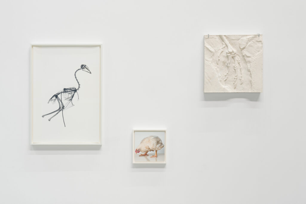 Andreas Greiner – EARTH MATTERS