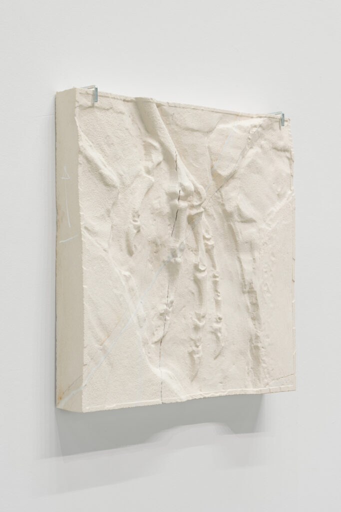 Andreas Greiner – EARTH MATTERS