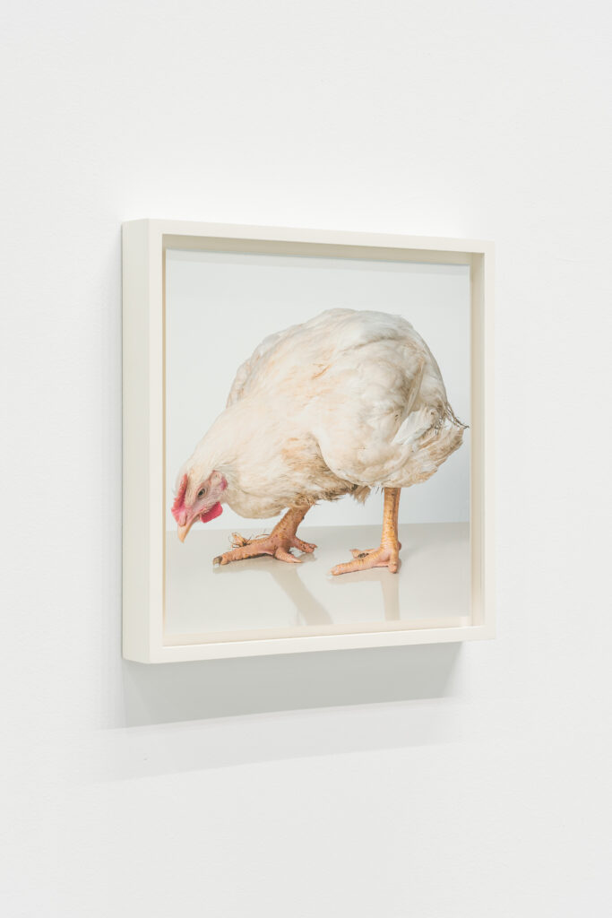 Andreas Greiner – EARTH MATTERS