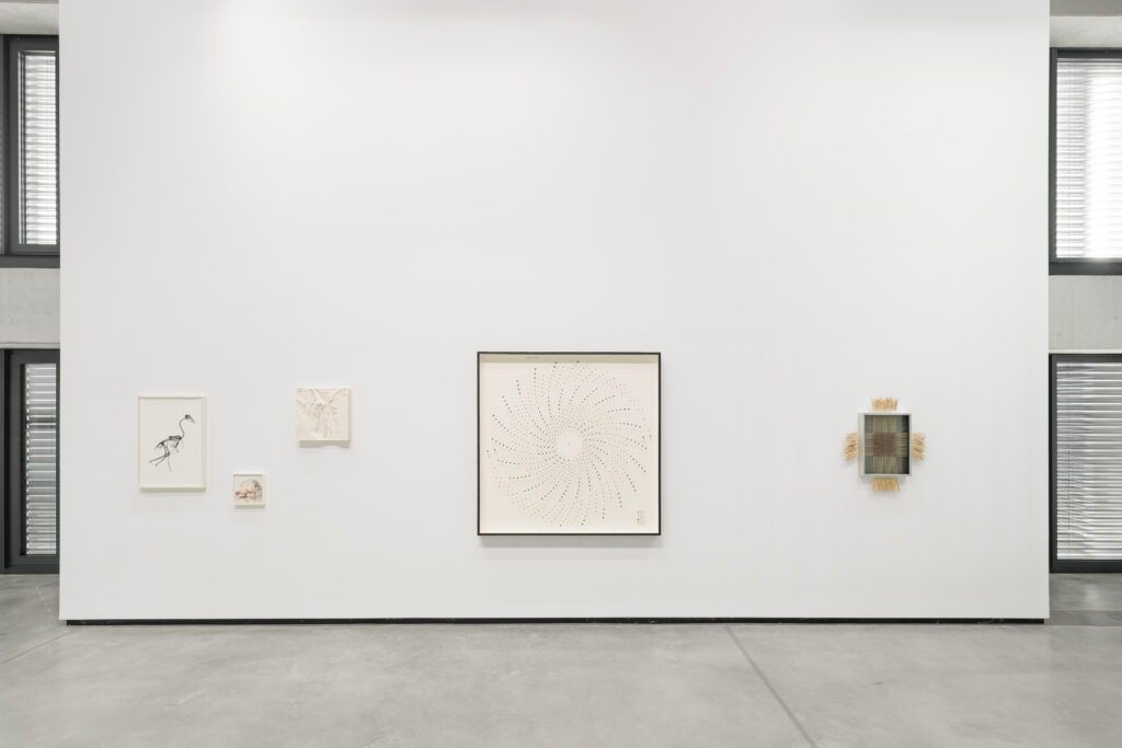 Andreas Greiner – EARTH MATTERS