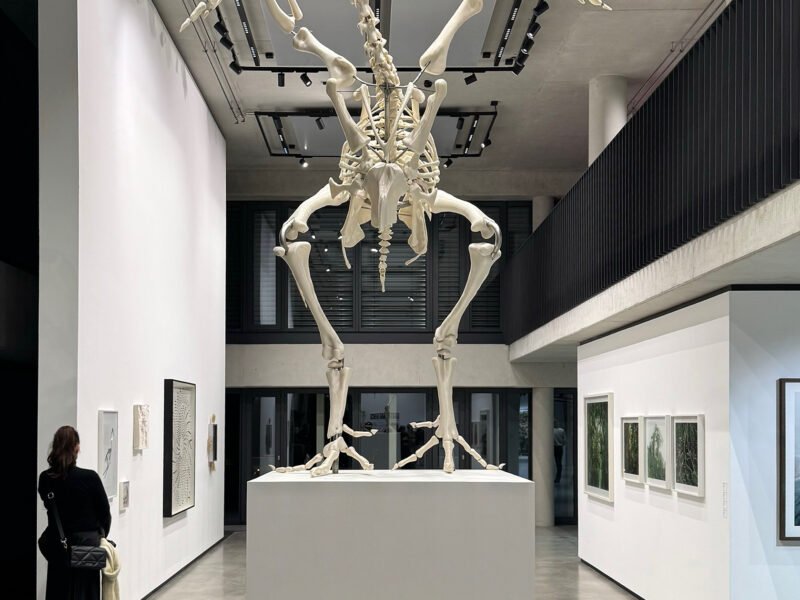 Andreas Greiner – EARTH MATTERS