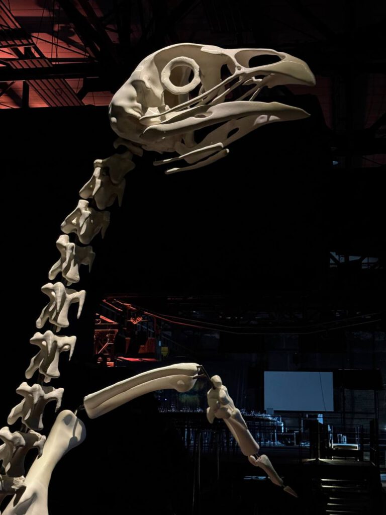 Andreas Greiner – X-RAY – The Power of Roentgen Vision