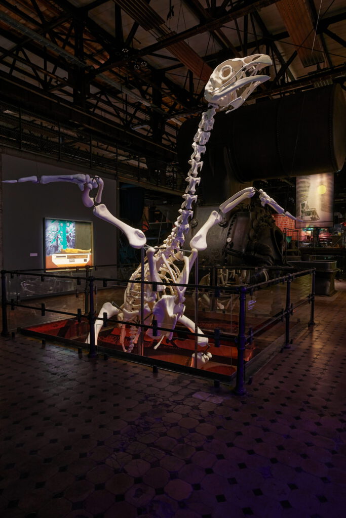 Andreas Greiner – X-RAY – The Power of Roentgen Vision