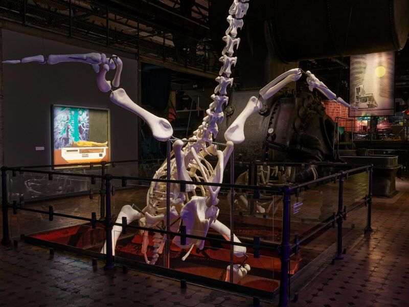 Andreas Greiner – X-RAY – The Power of Roentgen Vision